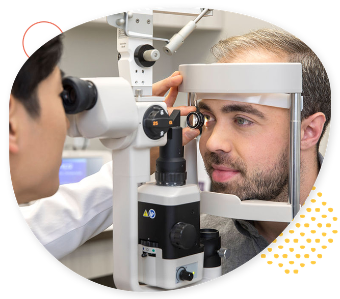 Primary Care Optometry National Vision